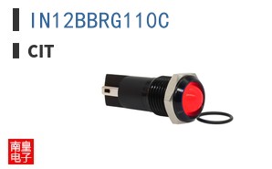 IN12BBRG110C ͼƬ