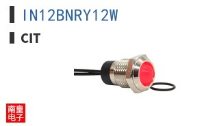 IN12BNRY12W ͼƬ