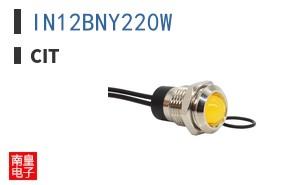 IN12BNY220W ͼƬ