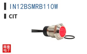 IN12BSMRB110W ͼƬ