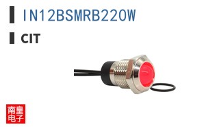 IN12BSMRB220W ͼƬ