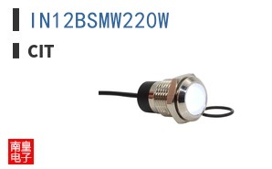 IN12BSMW220W ͼƬ