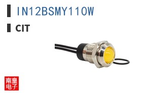 IN12BSMY110W ͼƬ