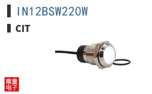 IN12BSW220W ͼƬ