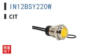 IN12BSY220W ͼƬ