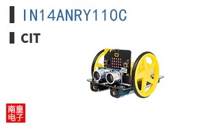 IN14ANRY110C ͼƬ