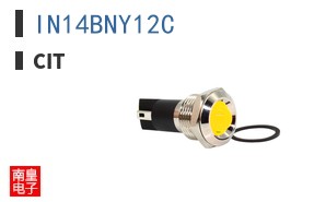 IN14BNY12C ͼƬ