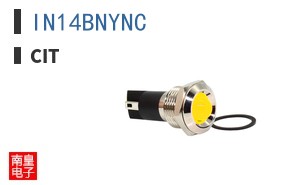 IN14BNYNC ͼƬ