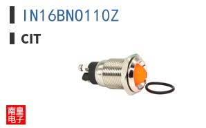IN16BNO110Z ͼƬ