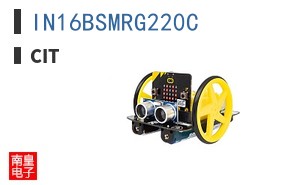 IN16BSMRG220C ͼƬ