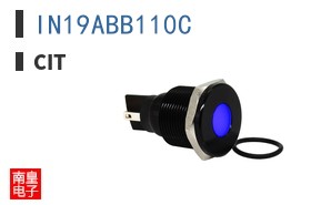 IN19ABB110C ͼƬ