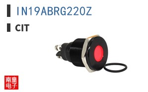 IN19ABRG220Z ͼƬ