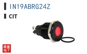 IN19ABRG24Z ͼƬ
