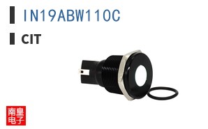 IN19ABW110C ͼƬ