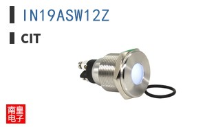 IN19ASW12Z ͼƬ