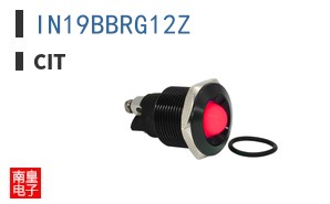 IN19BBRG12Z ͼƬ