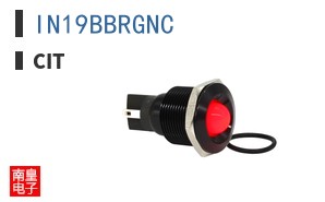 IN19BBRGNC ͼƬ