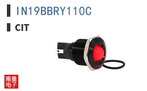 IN19BBRY110C ͼƬ