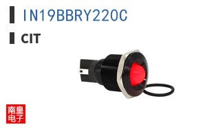IN19BBRY220C ͼƬ