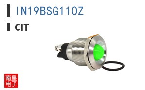 IN19BSG110Z ͼƬ