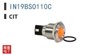 IN19BSO110C ͼƬ