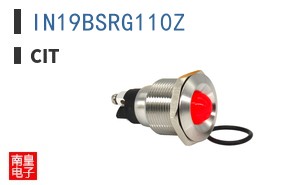 IN19BSRG110Z ͼƬ