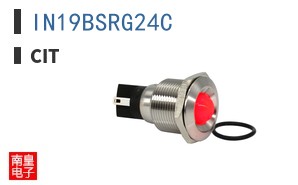IN19BSRG24C ͼƬ