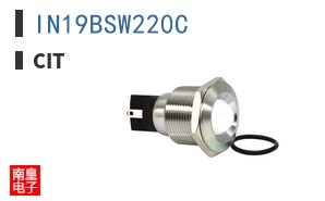 IN19BSW220C ͼƬ
