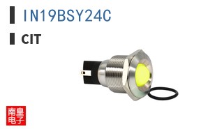 IN19BSY24C ͼƬ