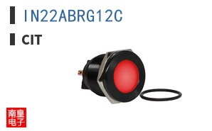 IN22ABRG12C ͼƬ