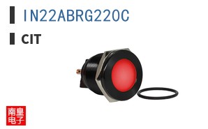 IN22ABRG220C ͼƬ