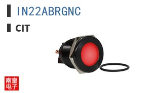 IN22ABRGNC ͼƬ
