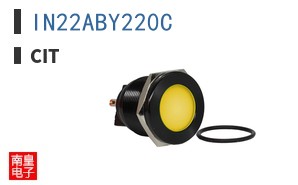 IN22ABY220C ͼƬ