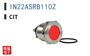 IN22ASRB110Z ͼƬ