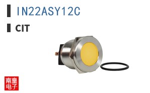 IN22ASY12C ͼƬ