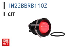IN22BBRB110Z ͼƬ