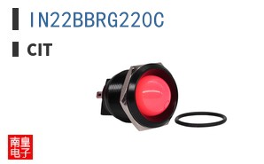 IN22BBRG220C ͼƬ