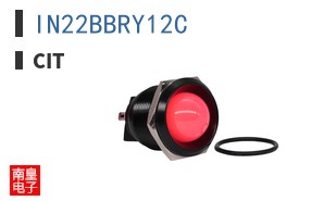 IN22BBRY12C ͼƬ