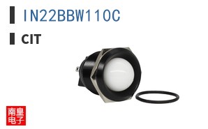 IN22BBW110C ͼƬ