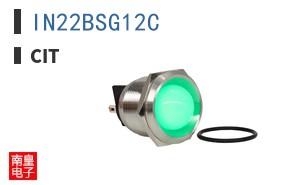 IN22BSG12C ͼƬ