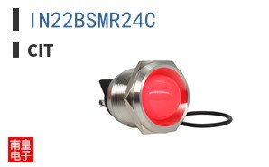 IN22BSMR24C ͼƬ