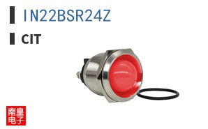 IN22BSR24Z ͼƬ