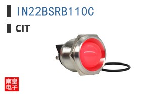 IN22BSRB110C ͼƬ