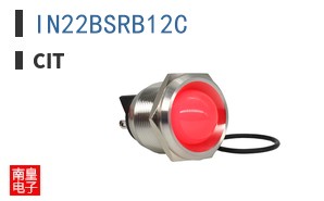 IN22BSRB12C ͼƬ