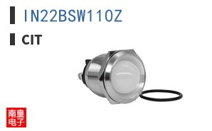 IN22BSW110Z ͼƬ