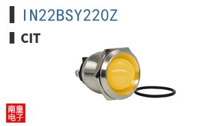 IN22BSY220Z ͼƬ