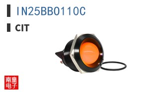 IN25BBO110C ͼƬ