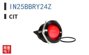 IN25BBRY24Z ͼƬ