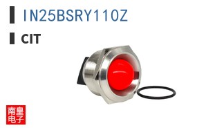 IN25BSRY110Z ͼƬ