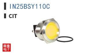 IN25BSY110C ͼƬ